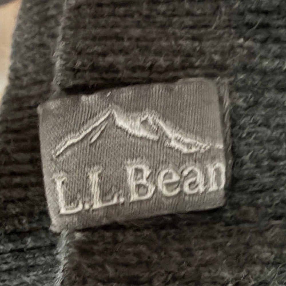 LL Bean Men's L Hoodie Gray Graphic Logo Mountain Sweatshirt Regular 508293 - Picture 5 of 5
